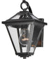 Prism 12 inch Outdoor Wall Sconce Black