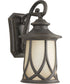 Resort 1-Light Medium Wall Lantern Aged Copper
