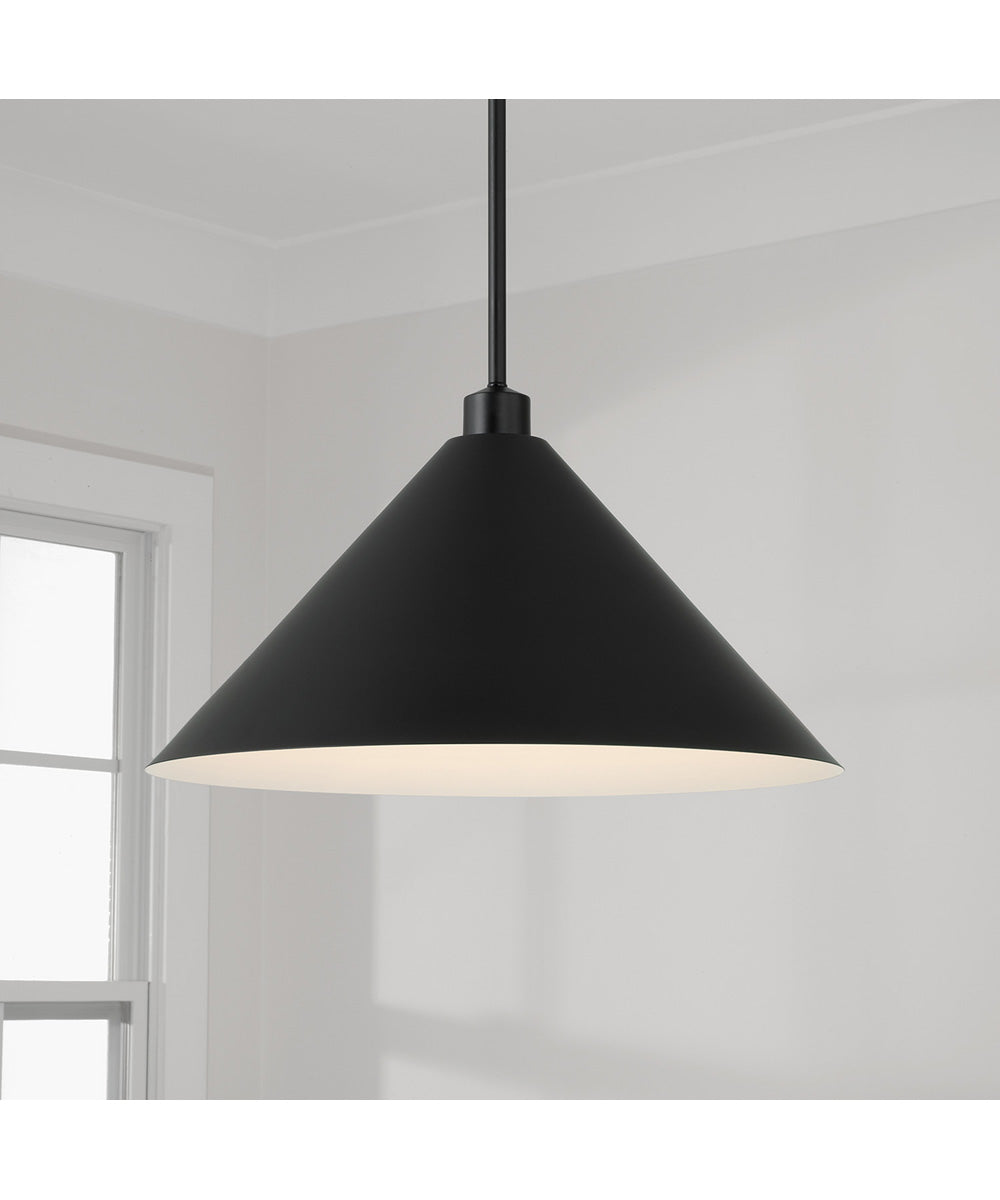 Alden 1-Light Pendant Matte Black