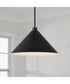 Alden 1-Light Pendant Matte Black