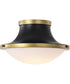 Lafayette 1-Light Close-to-Ceiling Matte Black