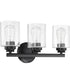 Bolden 3-Light Bath Vanity Light Flat Black
