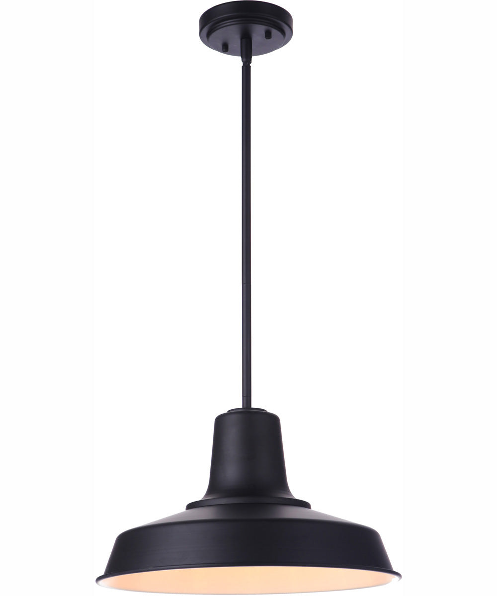 Briscoe 1-Light Outdoor Pendant Midnight