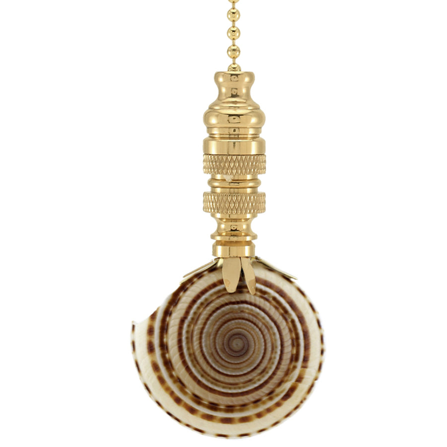 Sun Dial Sea Shell Ceiling Fan Pull, 3"h with 12" Polished Brass Chain