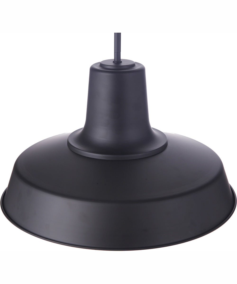 Briscoe 1-Light Outdoor Pendant Midnight