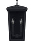 Donnelly 2-Light Outdoor Wall Mount Rain or Shine - Black with Clear Glass