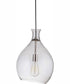 Pendant 1-Light Pendant Brushed Polished Nickel