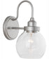 Daphne 1-Light Sconce Brushed Nickel Painted