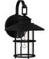 Lombard Medium 1-light Outdoor Wall Light  Coastal Armour Aluminum Matte Black