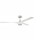 60" Phoebe 1-Light Indoor/Outdoor Ceiling Fan White / Polished Nickel