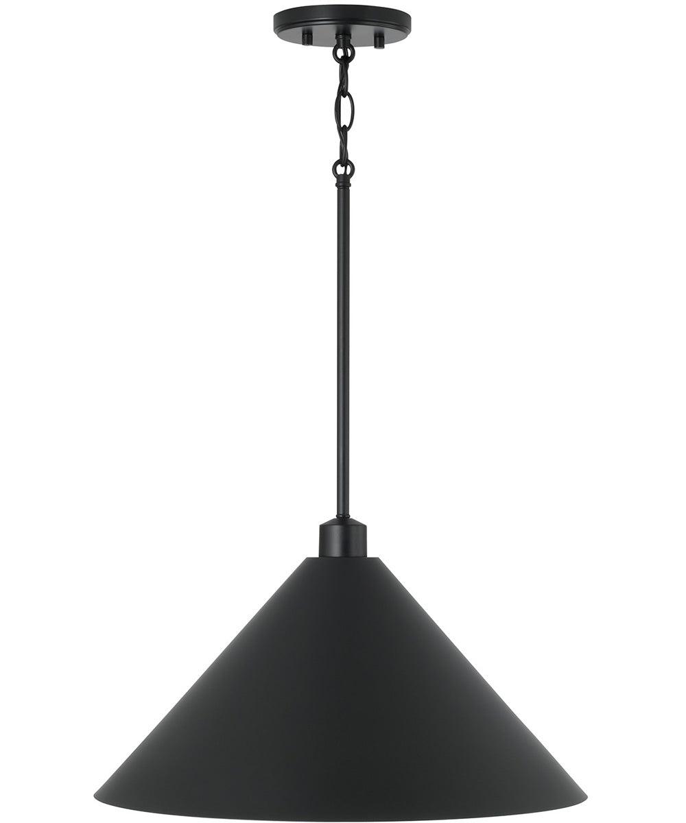 Alden 1-Light Pendant Matte Black