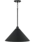 Alden 1-Light Pendant Matte Black