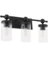 Tamara Day's Lee Boulevard 3-light Bath Vanity Light Matte Black