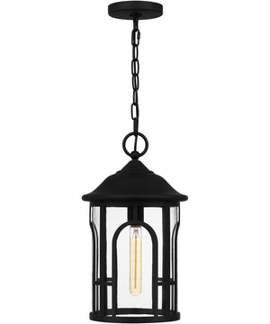 Brampton Large 1-light Outdoor Pendant Light  Coastal Armour Aluminum Matte Black