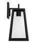 Leighton 1-Light Outdoor Wall-Lantern Rain or Shine - Black