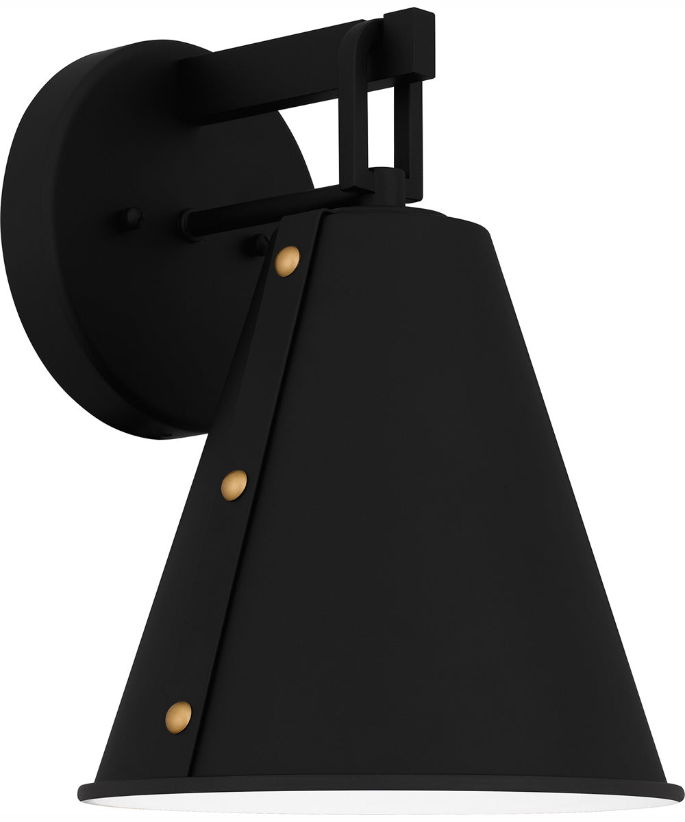 Hyde Medium 1-light Outdoor Wall Light  Coastal Armour Aluminum Matte Black