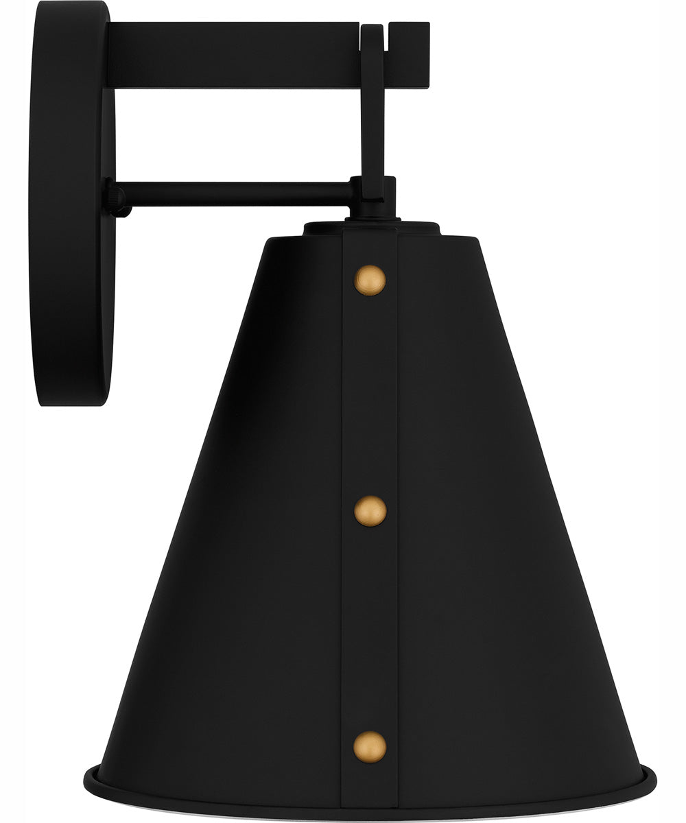 Hyde Medium 1-light Outdoor Wall Light  Coastal Armour Aluminum Matte Black