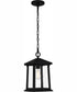 Satterfield Large 1-light Outdoor Pendant Light  Coastal Armour Matte Black