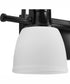 Preston 2-Light Coastal Bath Vanity Light Matte Black