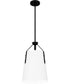 Quoizel Piccolo Pendant 1-light Mini Pendant Matte Black
