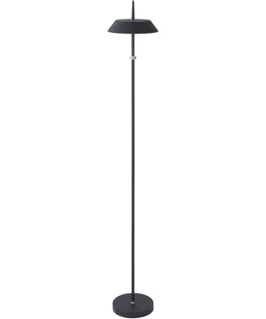 Santa Monica  LED  Floor Lamp Black / Gold