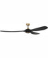 72" Envy 1-Light Indoor/Outdoor Ceiling Fan Flat Black/Satin Brass