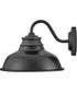 Wallace 1-Light Small Gooseneck Barn Light in Aged Zinc