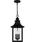 Chancellor Large 3-light Outdoor Pendant Light Mystic Black