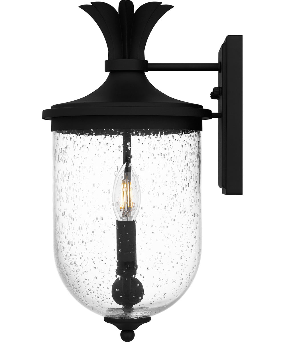 Havana Medium 2-light Outdoor Wall Light Earth Black