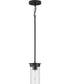 Kellwyn 1-Light Clear Glass Transitional Style Hanging Mini-Pendant Light Matte Black