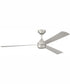 60" Sterling 1-Light Indoor/Outdoor Ceiling Fan Painted Nickel