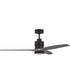 52" Sonnet 1-Light Ceiling Fan Flat Black