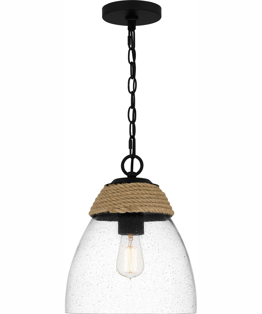 Quoizel Piccolo Pendant 1-light Mini Pendant Matte Black