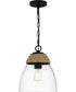 Quoizel Piccolo Pendant 1-light Mini Pendant Matte Black