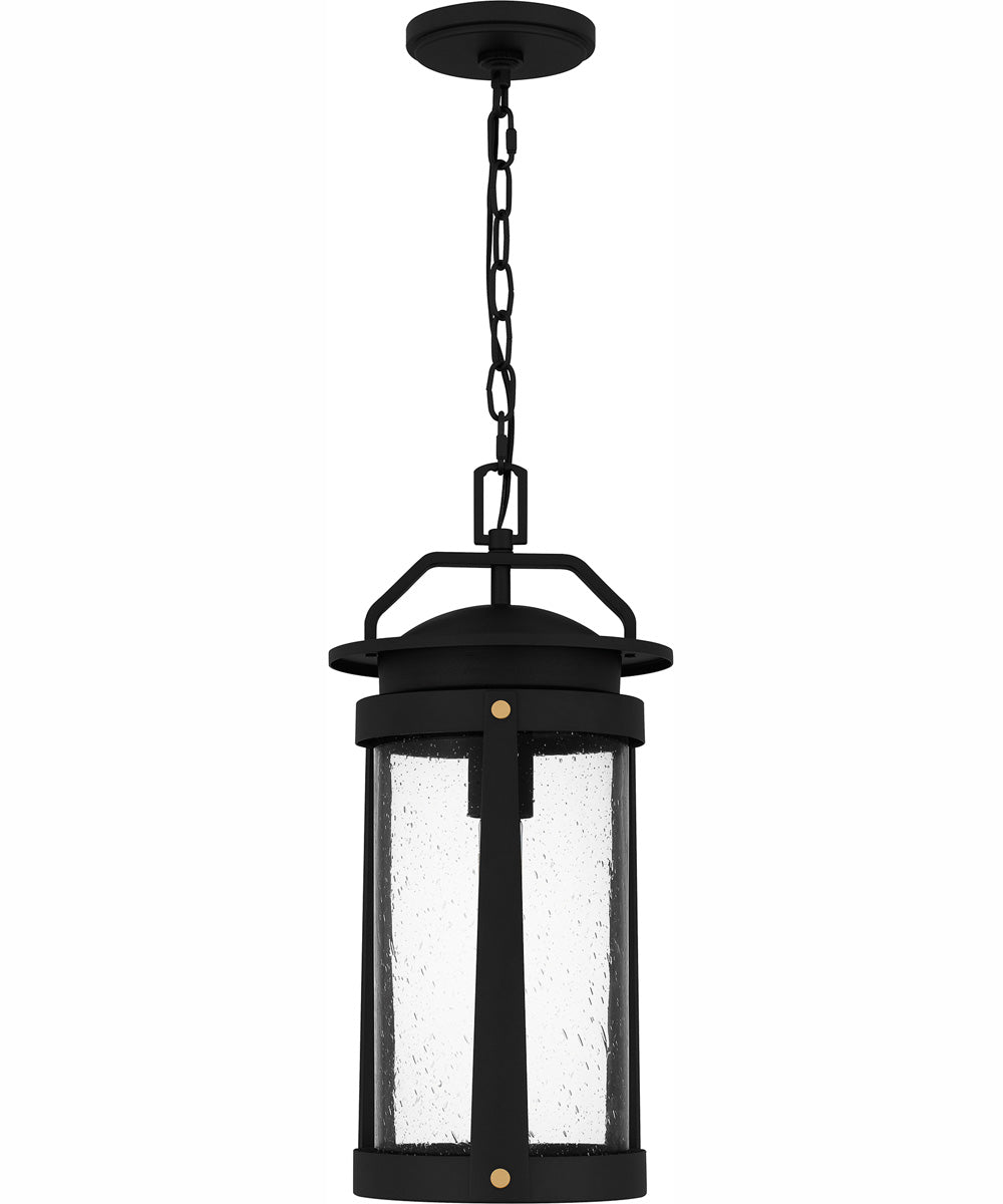 Clifton Large 1-light Outdoor Pendant Light  Coastal Armour Aluminum Earth Black
