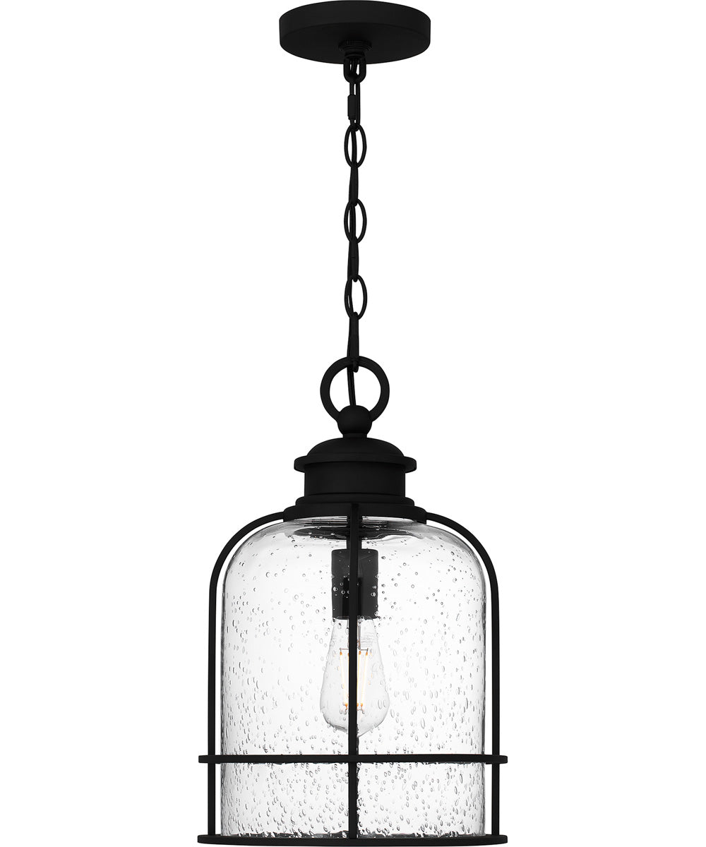 Bowles Large 1-light Outdoor Pendant Light Earth Black