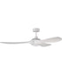 60" Envy 1-Light Indoor/Outdoor Ceiling Fan White