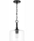 Carter 1-Light Pendant Matte Black