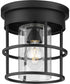 Burgess 1-Light Modern Farmhouse Flush Mount Matte Black