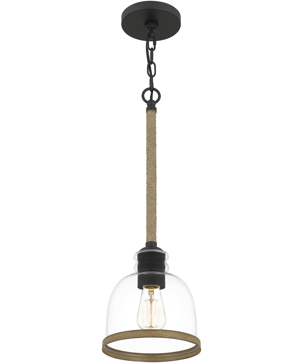 Wagner Small 1-light Mini Pendant Matte Black