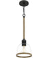 Wagner Small 1-light Mini Pendant Matte Black