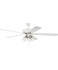 Large Ceiling Fans