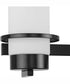 Reiss 3-Light Modern Farmhouse Vanity Light Matte Black