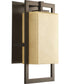 Jack 1-Light Medium Wall Lantern Antique Bronze