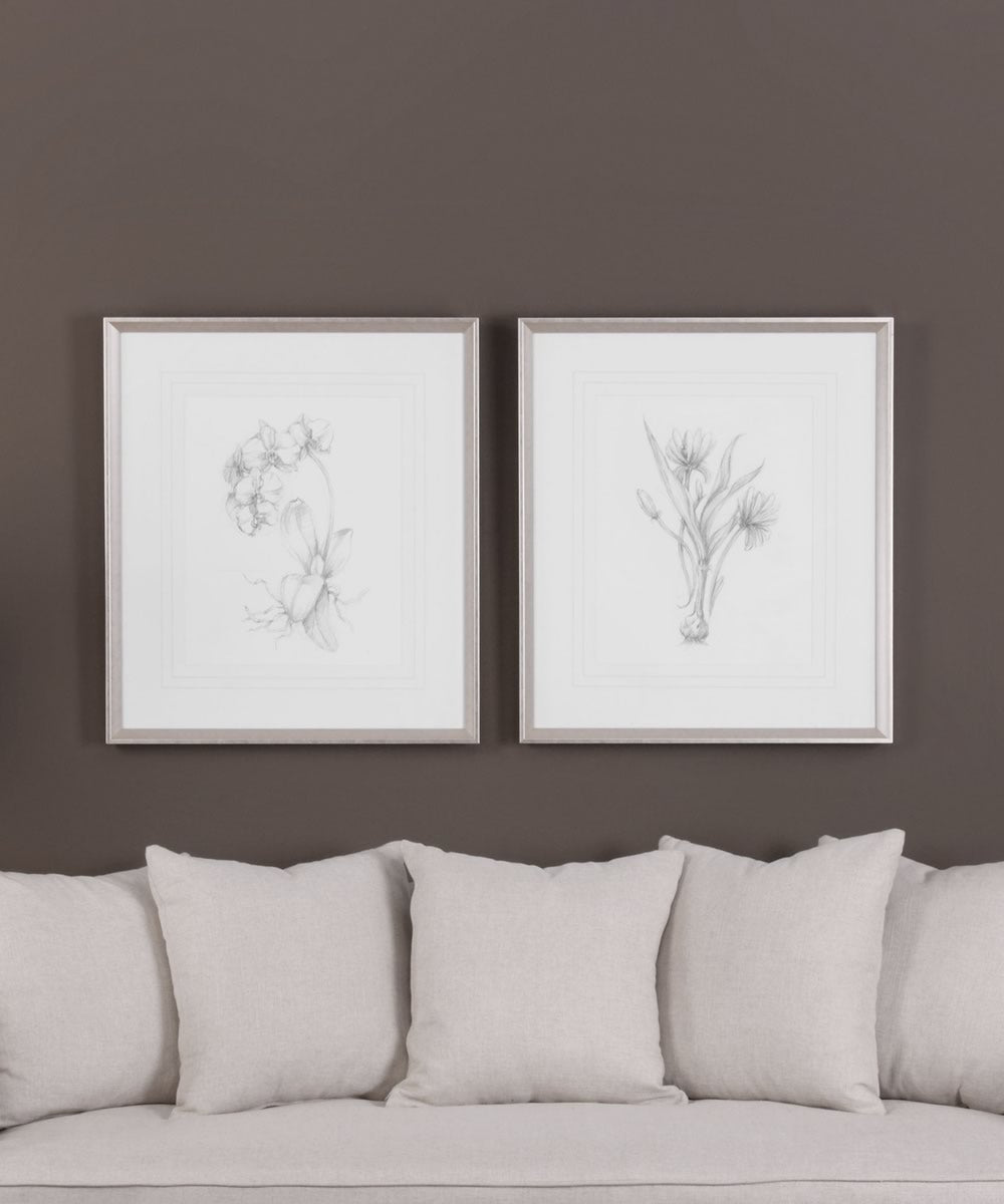 32"H x 28"W Botanical Sketches Framed Prints Set of 2