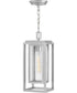 1-Light Medium LED Hanging Lantern in Satin Nickel