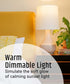 Wind Down A19 60 Watt Dimmable 2700K LED Light Bulb by Brilli (6 Pack)