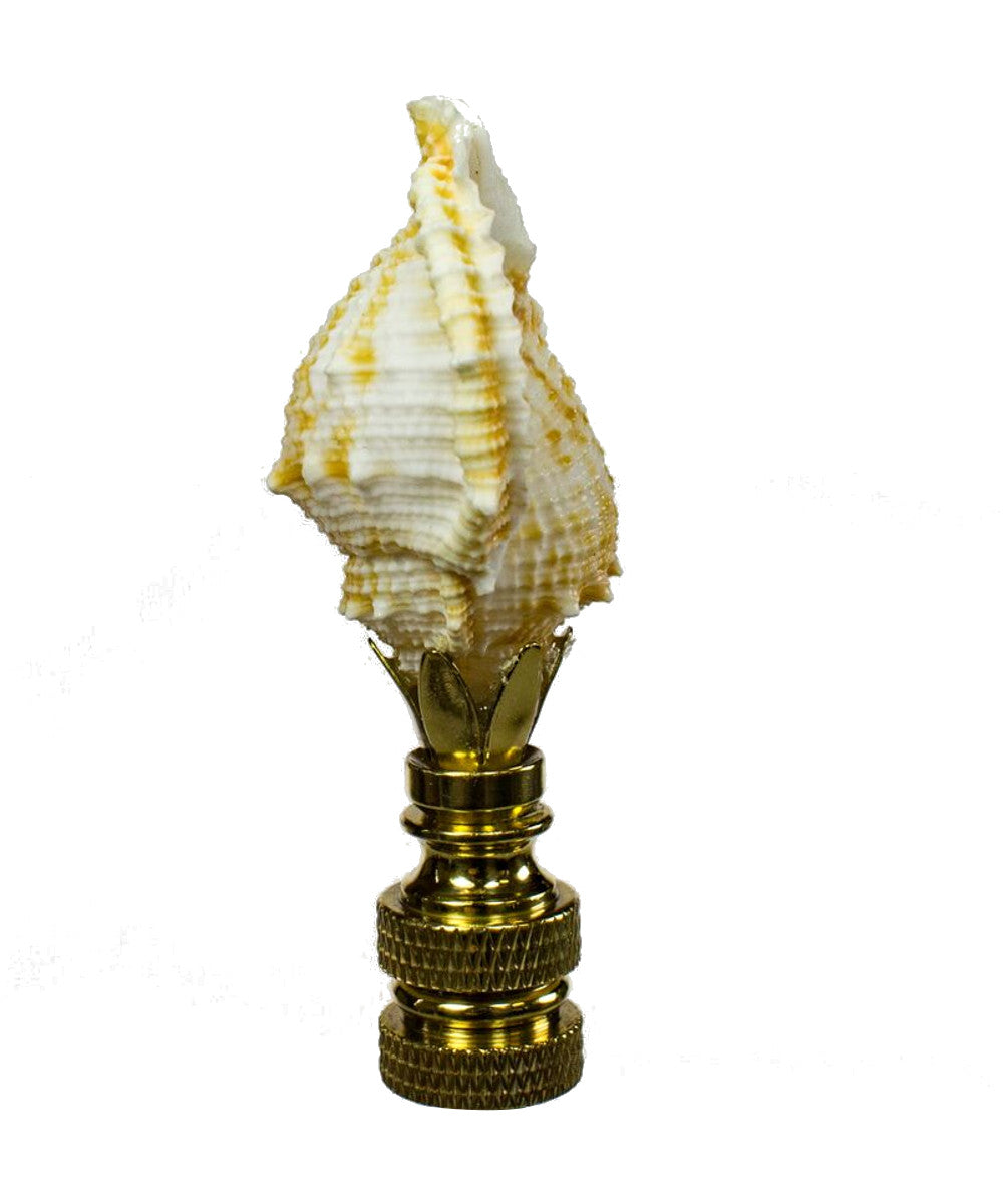 Bursa Sea Shell Lamp Finial with Polished Brass Base 2.25"h