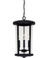 Howell 4-Light Outdoor Hanging Rain or Shine - Black with Clear Glass