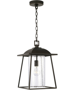 Durham 1-Light Outdoor Hanging-Lantern Oiled Bronze